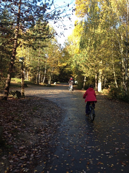 Center Parcs Bois Francs Vélo