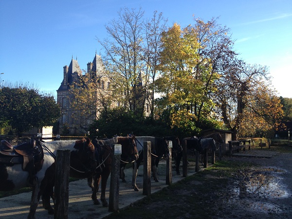 Centre equestre Center Parcs Bois Francs