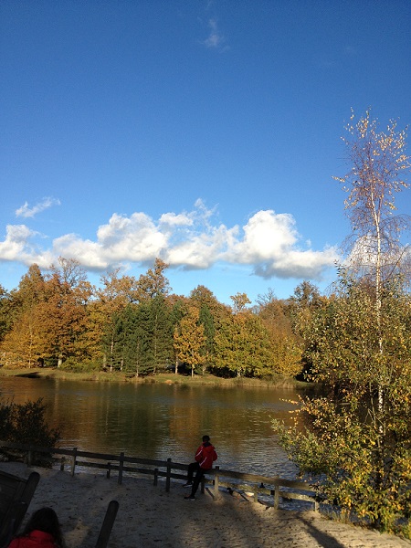 Couleurs d'automne sur CenterParcs