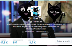 Twitter Till the Cat