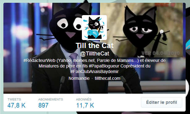 Twitter Till the Cat