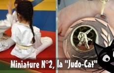 Miniature N°2 judokate ba