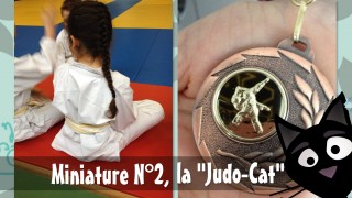 Miniature N°2 judokate ba