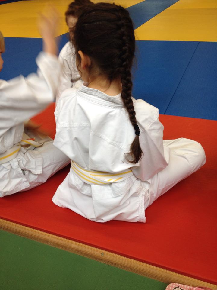 Miniature N°2 judokate