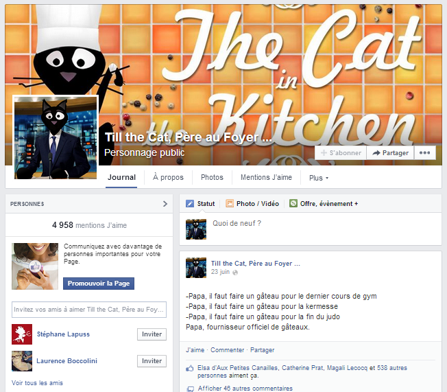 Page Facebook Till the Cat